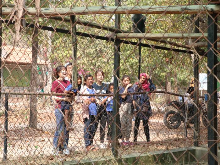 Volunteers and kids from Wat Opot exploring the zoo together, finding the monkey in the cage