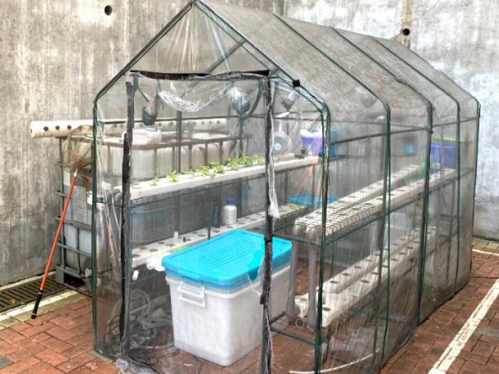 aquaponics system behind Hall IX