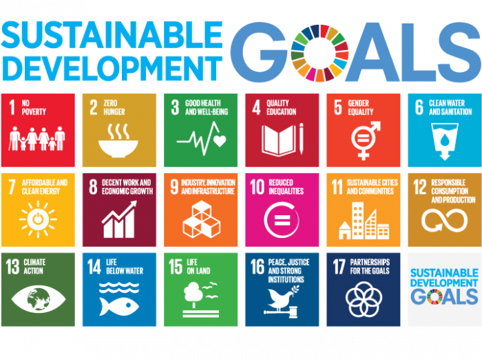 SDG icons