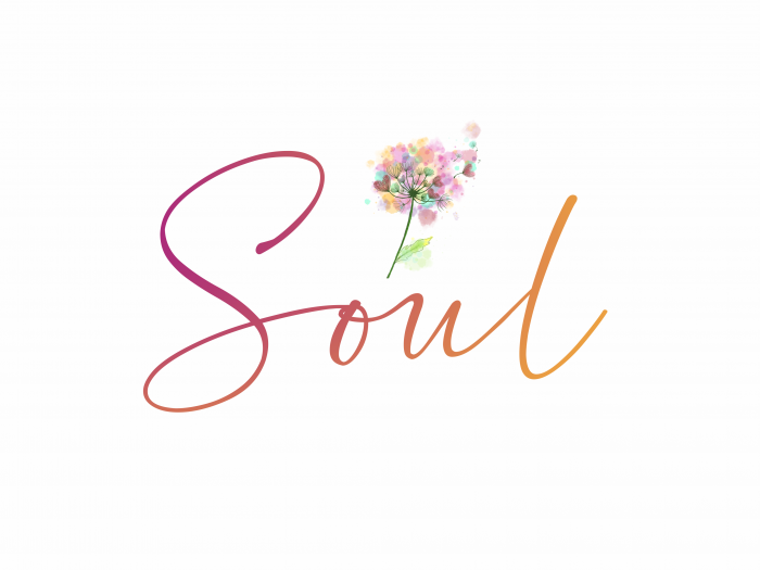 Logo of Soul