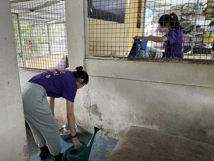 Volunteers filling water bowls and changing linens at the shelter