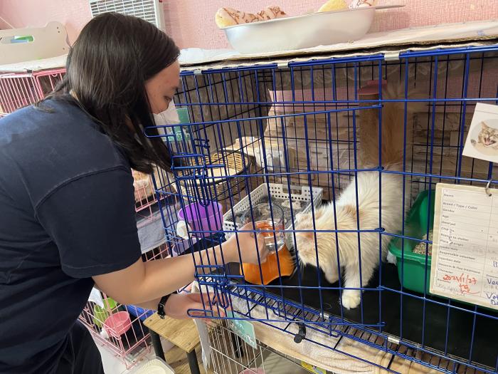 Volunteer filling a water bowl 