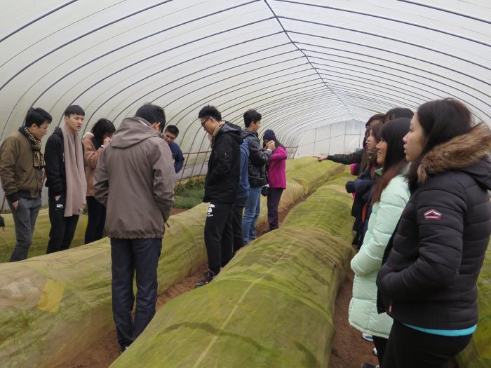 Volunteers visiting garden.