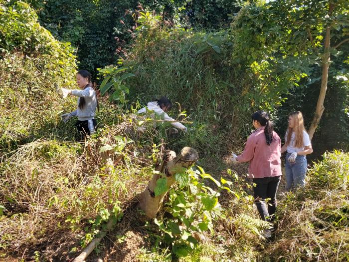 Volunteers assisting in the maintenance of the Reserve