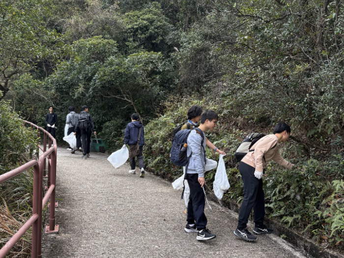 Volunteers searching for litter in the bushes