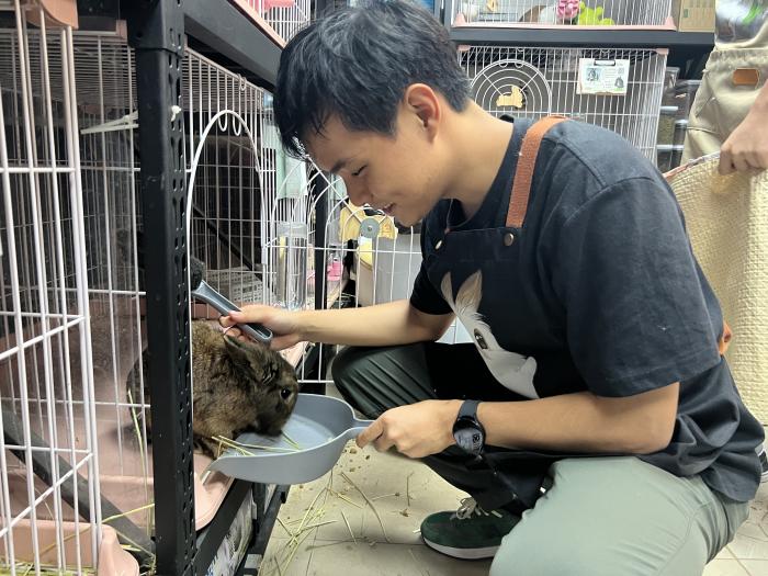 Maintaining a clean environment is crucial for bunnies' health
