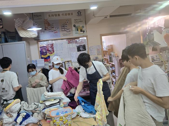 Students supporting the daily operations of the cat shelter