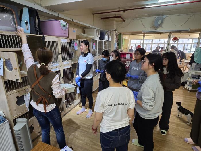 Staff sharing abandoned cat issue in Hong Kong with volunteers