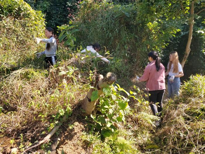 Students assisting the daily maintenance of the Reserve