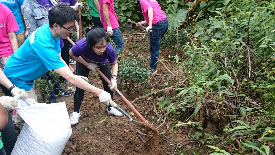 Volunteers maintaining the butterfly habitat