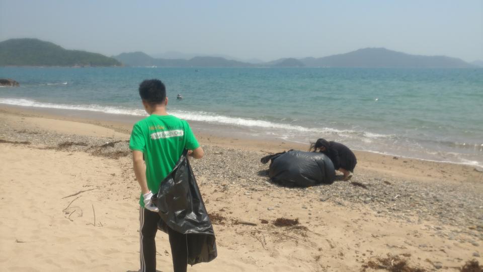 Volunteers cleaning up the beach
