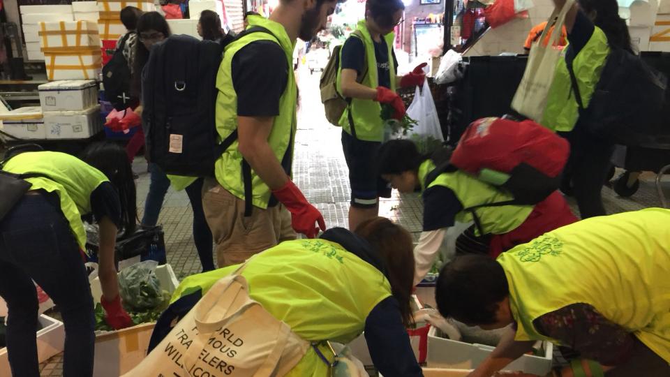 Volunteers collecting vegetables