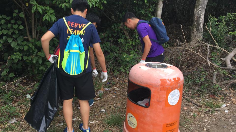 Volunteers contributing to environmental protection