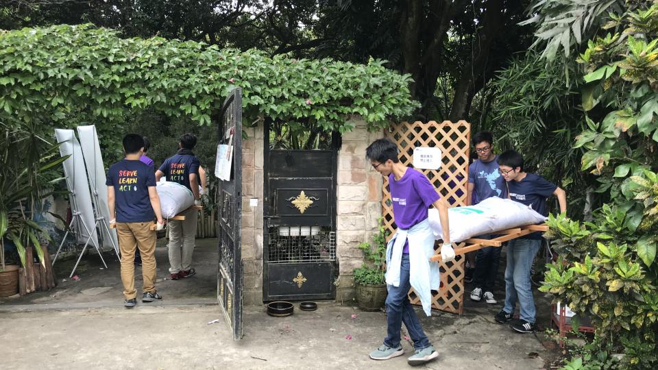 Volunteers helping with the labor work