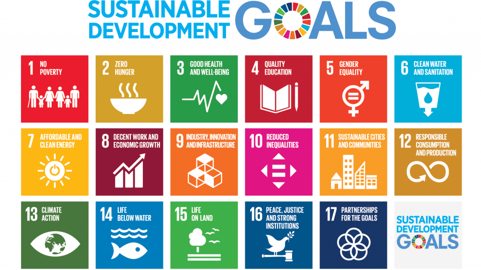 There are 17 UN Sustainable Development Goals that we should achieve by 2030 for sustainable development in the World.