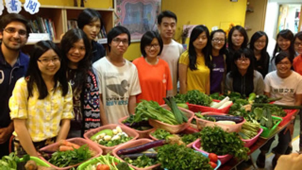 Enough collected vegetables for many families