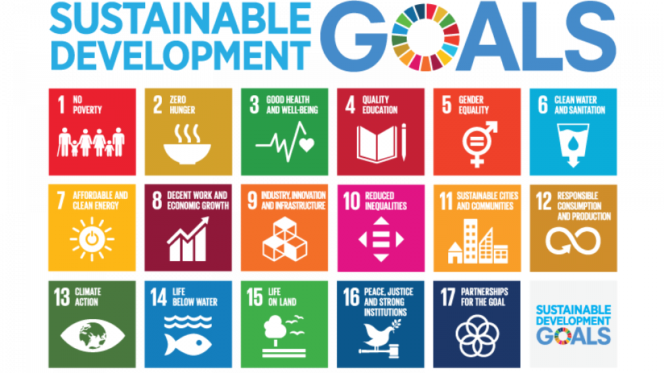There are 17 Sustainable Development Goals that we should achieve by 2030 for sustainable development in the World.