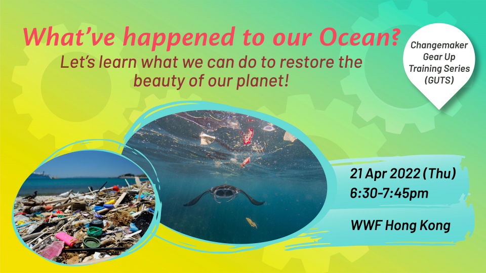 What've happened to our ocean? Let's learn about how to restore the beauty of our planet.