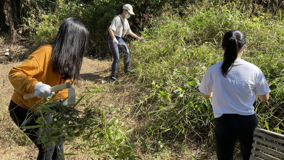 Volunteers helping to create a better home for the butterflies