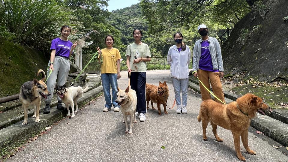 Volunteers walking the dogs