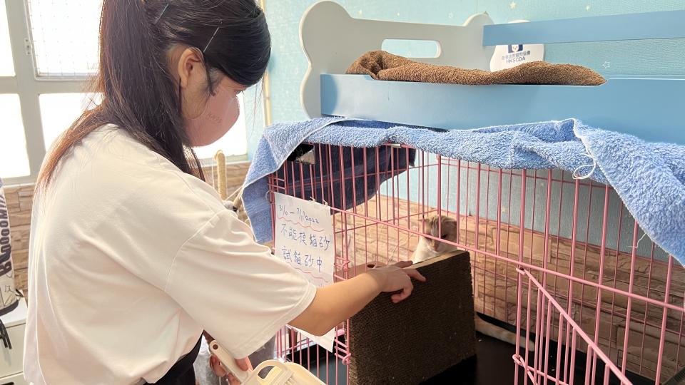 Volunteer cleaning a cage