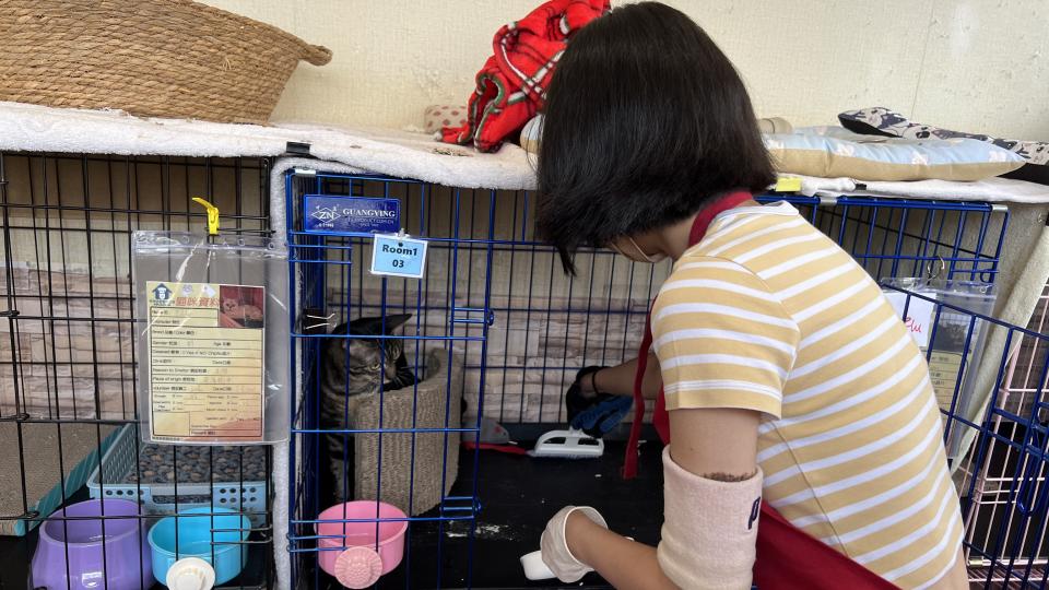 Volunteer cleaning the cage. 