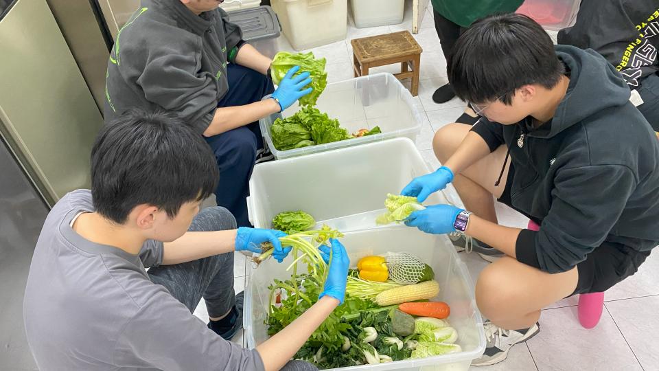 Volunteers screening on the collected food