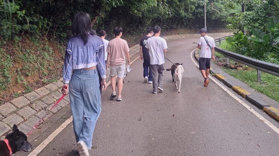 Students taking the dogs on a walk to keep them healthy