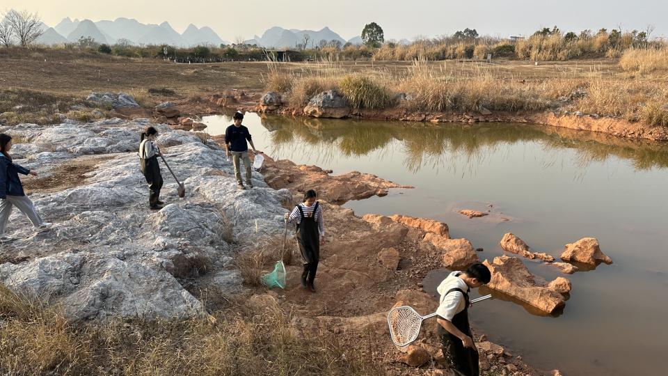 Students are going to collect sediment