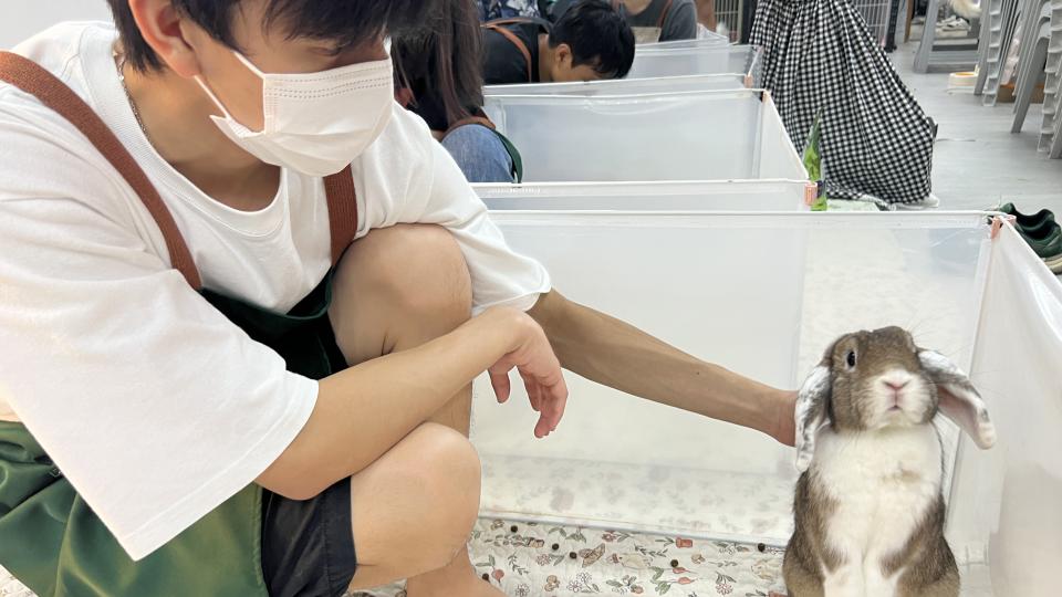 Students petting a bunny