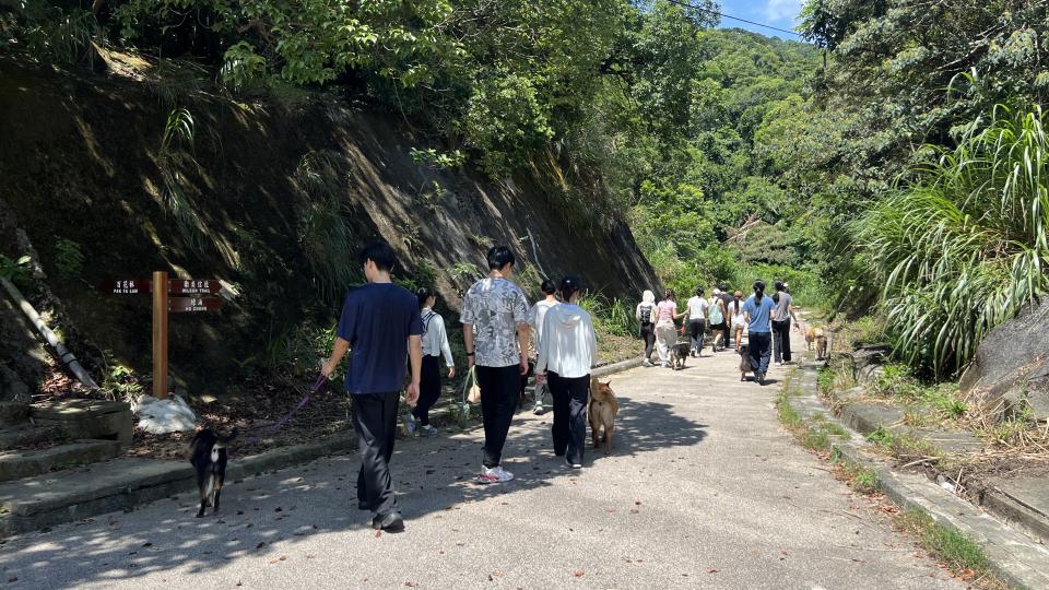 HKUST volunteers spending quality time with the rescued dogs