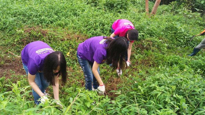 Weeding to protect the plants in the Reserve