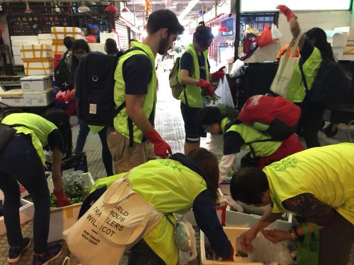 Volunteers collecting vegetables