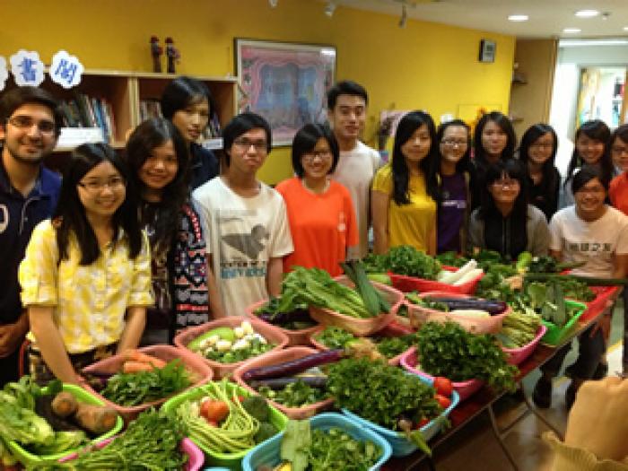 Enough collected vegetables for many families