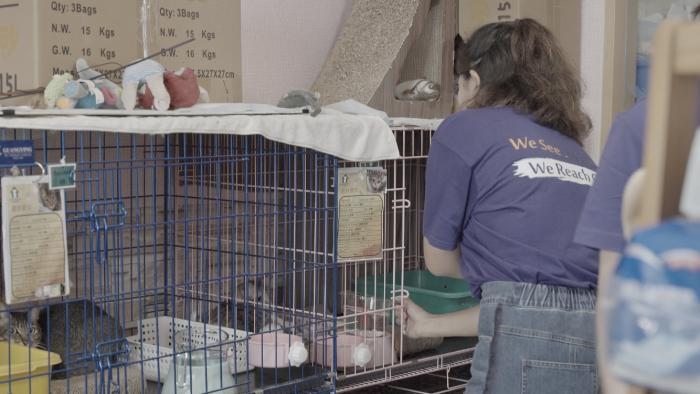 A volunteer cleaning cages