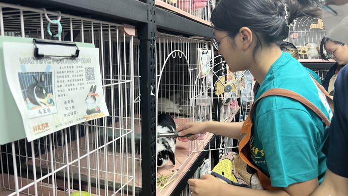 Volunteer cleaning the cage.