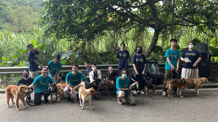 Volunteers and four-legged friends enjoying a walk together