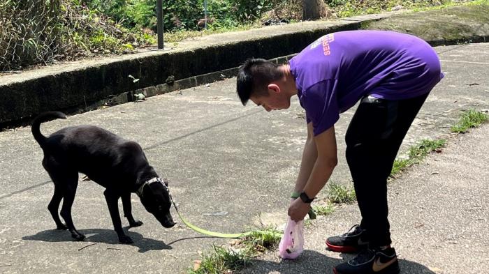 Student walking dog