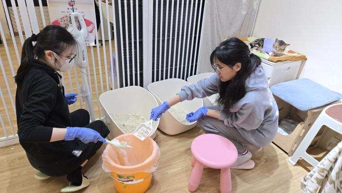 Volunteers cleaning litter boxes