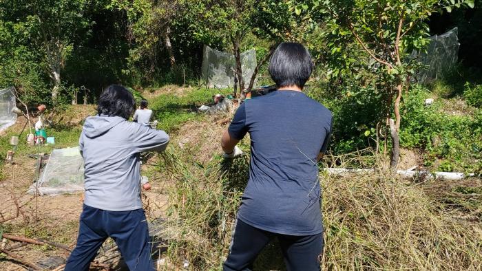 Students assisting the daily maintenance of the Reserve