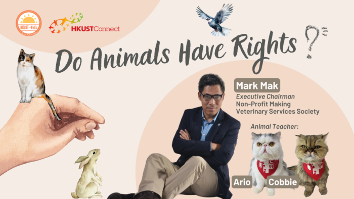 Do animals have rights?