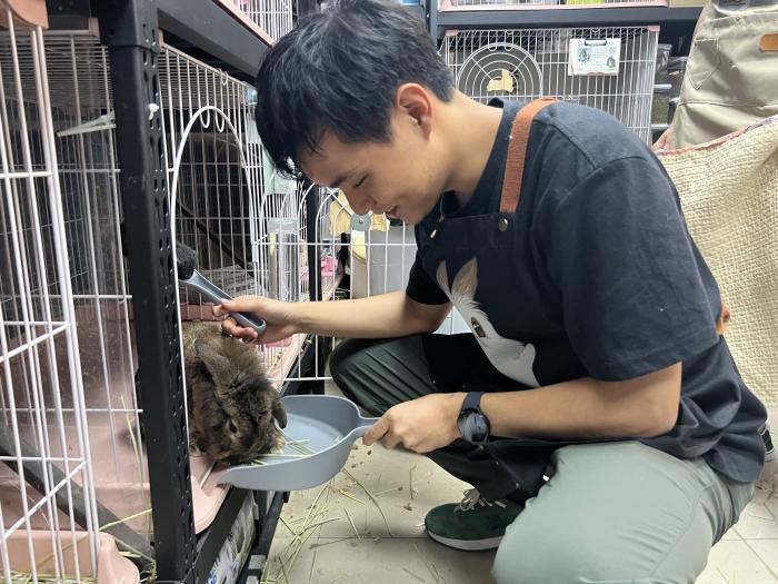 Volunteers interacting with bunnies