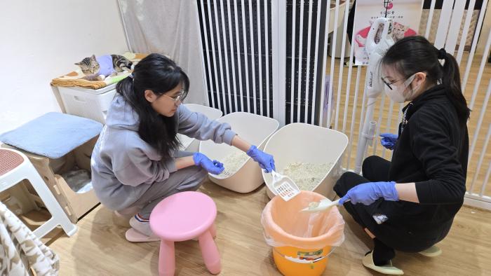 Meow-velous Mission photo