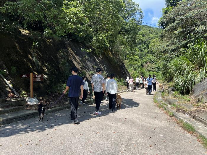 HKUST volunteers spending quality time with the rescued dogs