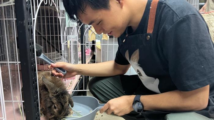 Volunteers interacting with bunnies