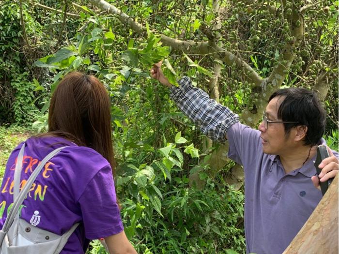 Volunteering @Fung Yuen Butterfly Reserve 服務在鳳園